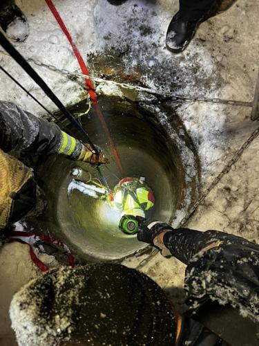 Dog rescue in Kingston