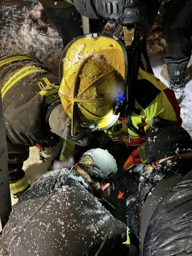 Dog rescue in Kingston