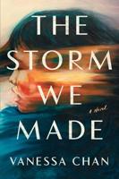 In ‘The Storm We Made,’ a mother’s best intentions endanger her family